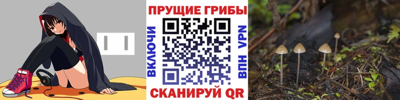 Псилоцибиновые грибы мицелий  Реж 